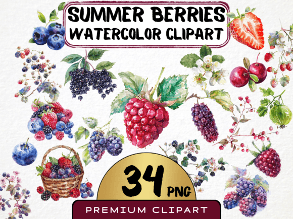 Download Watercolor Berries Clipart Bundle - Bundle Collection